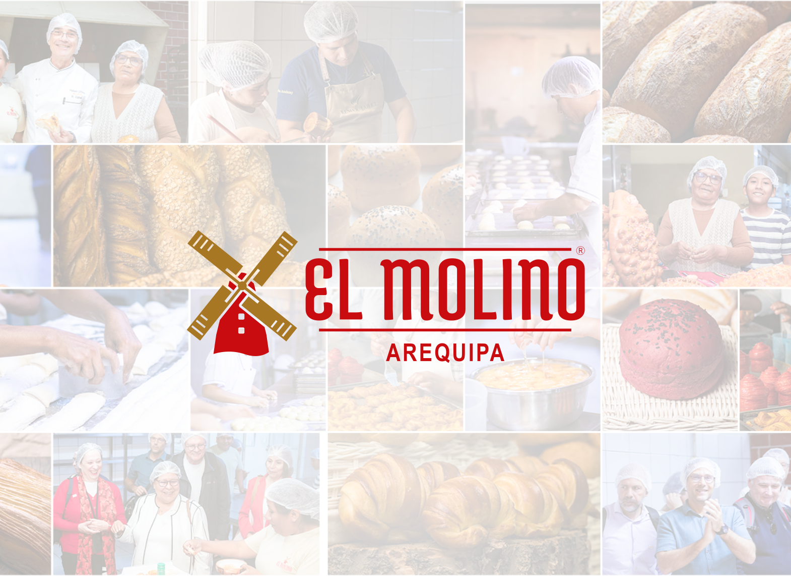 nuevo1molino